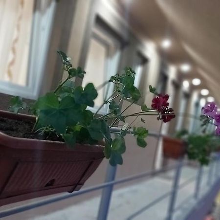 Rooms Stefan Subotica Bagian luar foto